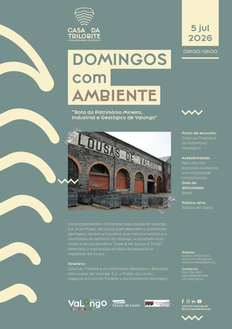 “Rota do Património Mineiro, Industrial e Geológico de Valongo” nova atividade de Domingos com Ambiente