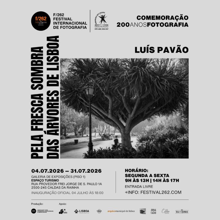 Pela Fresca Sombra das Árvores de Lisboa - Fotografias de Luís Pavão