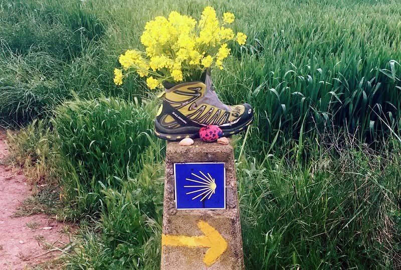  Caminho Português da Costa Etapa Final: A Escravitude - Santiago Compostela