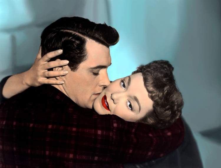 Mário Jorge Torres, Tudo o que o cinema permite