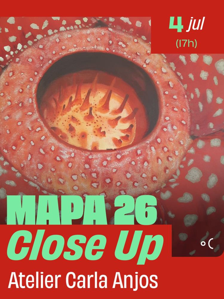 MAPA 26 – Close Up