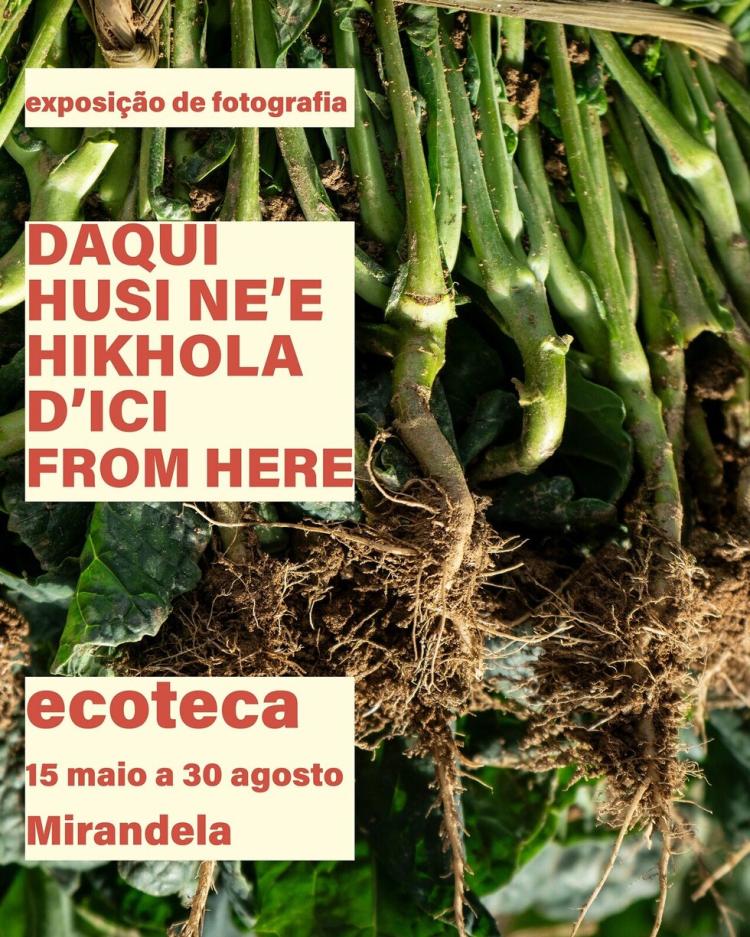 Exposição “DAQUI” de Paula Preto | Ecoteca
