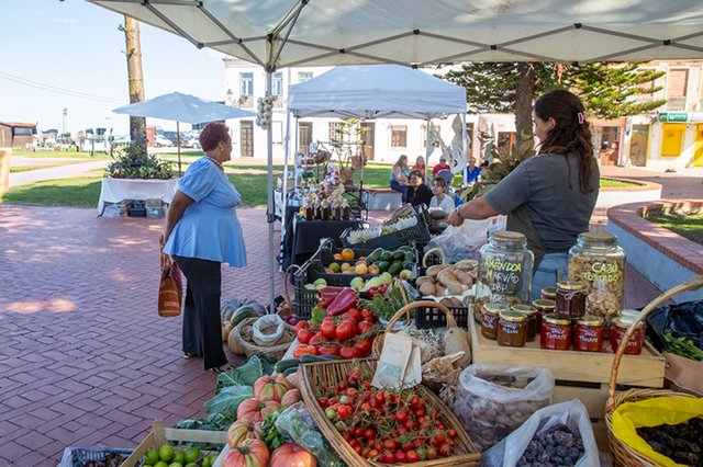 Seixal Green Market