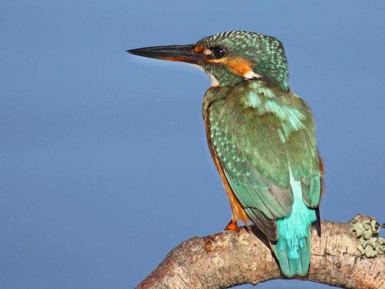 Entrega dos prémios do Concurso Fotográfico “Litoral Norte · Um Olhar Natural”