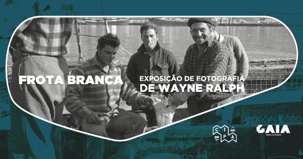 'Frota Branca': Exposição de Wayne Ralph recorda a epopeia da pesca do bacalhau na Afurada
