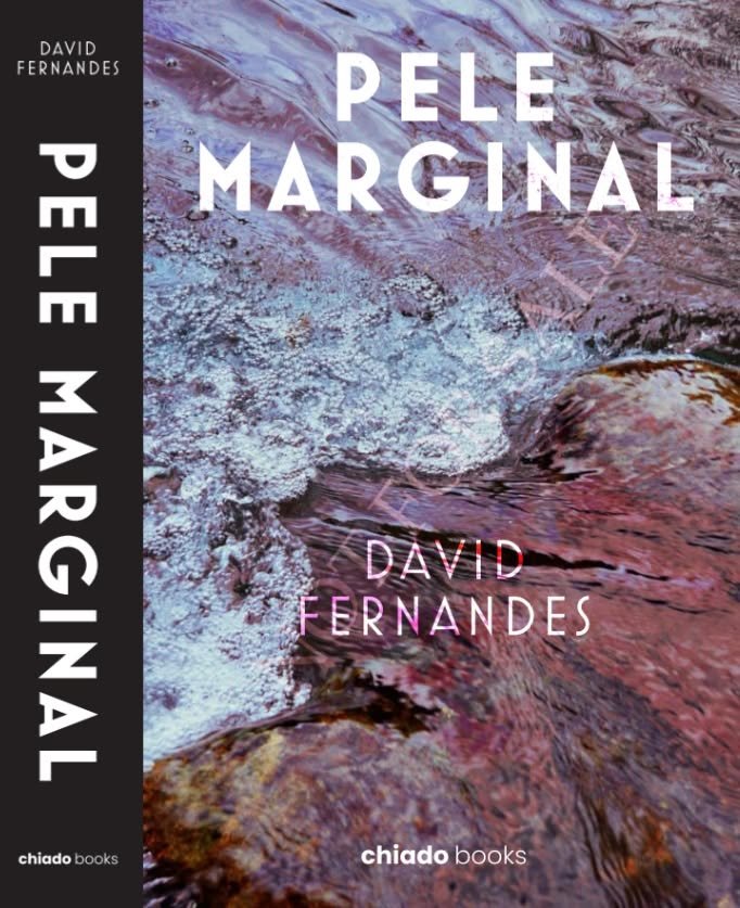 [APRESENTAÇÃO DE LIVRO] Pele Marginal de DAVID FERNANDES