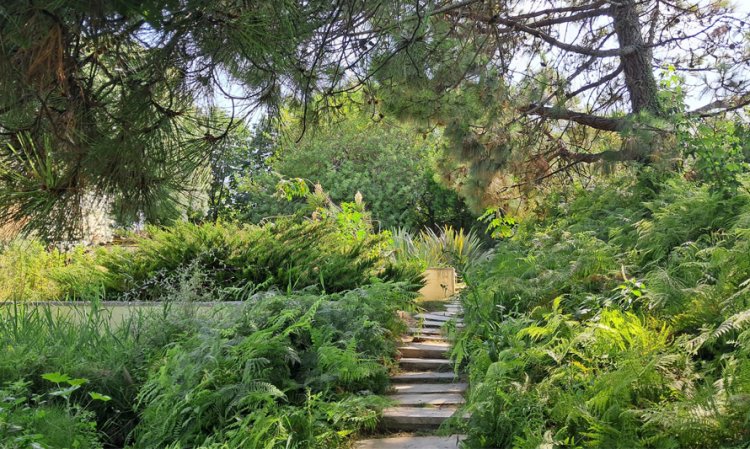 Visita a'O Chão das Artes - Jardim Botânico (11 julho)