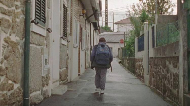 Caminhar sobre as Raízes