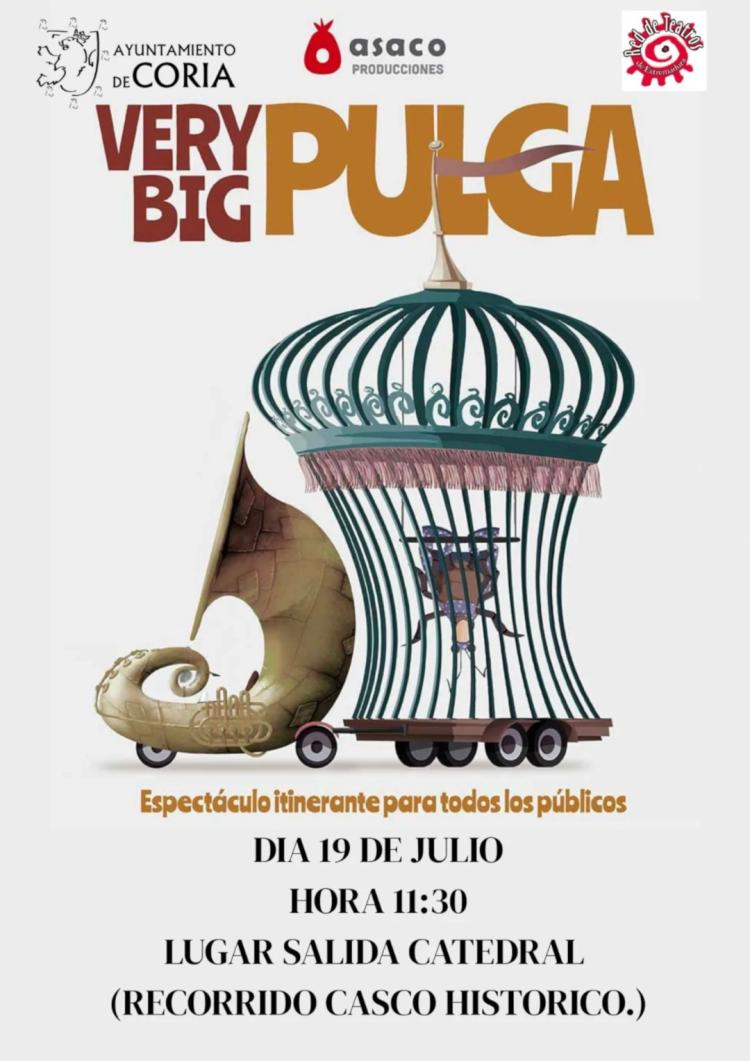 Very Big Pulga
