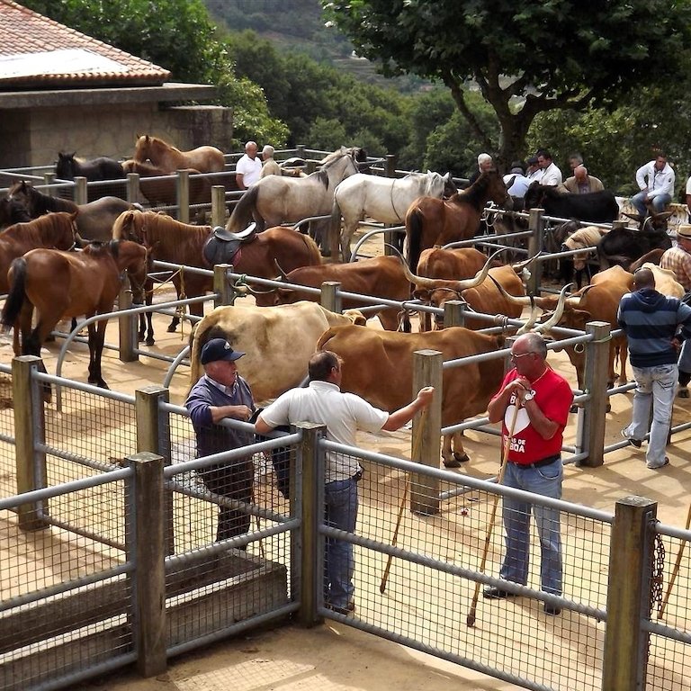 Feira Tradicional de Portela de Alvite