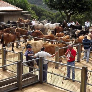 Feira Tradicional de Portela de Alvite