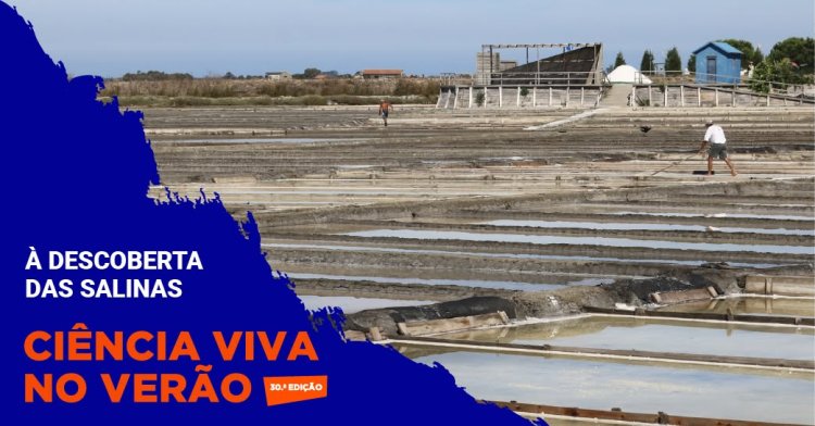 À descoberta das salinas!