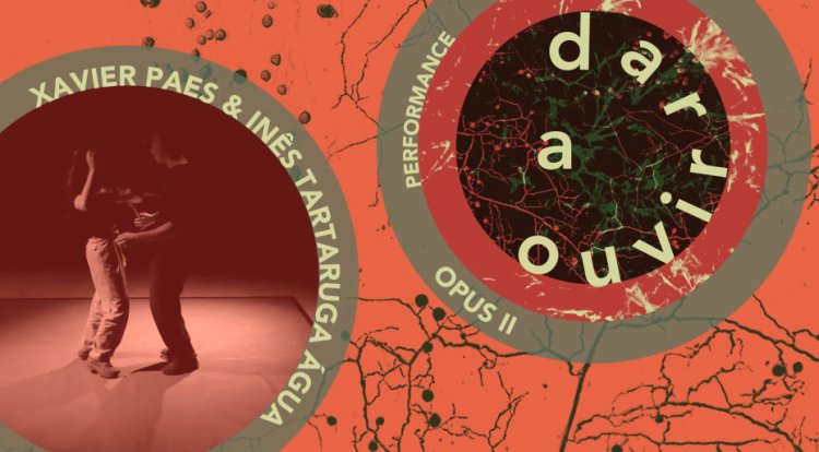 “OPUS II | Xavier Paes & Inês Tartaruga Água”