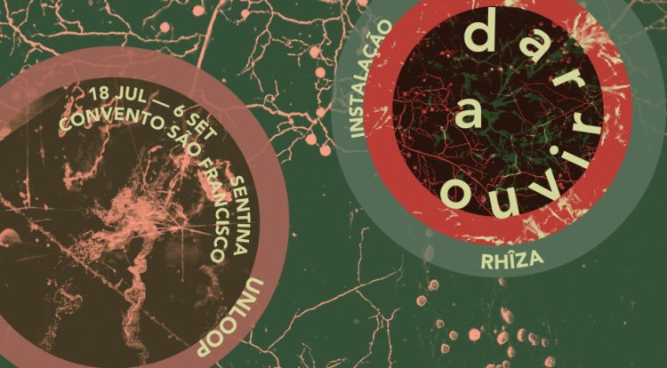 “RHÎZA | Coletivo Unloop (David Negrão & Sara Montalvão)”