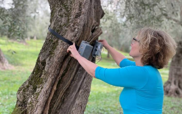 bma lab: eden – ethics and durability for an ecology of nature