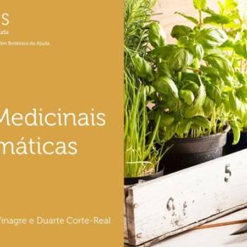 Plantes Médicinales et Aromatiques