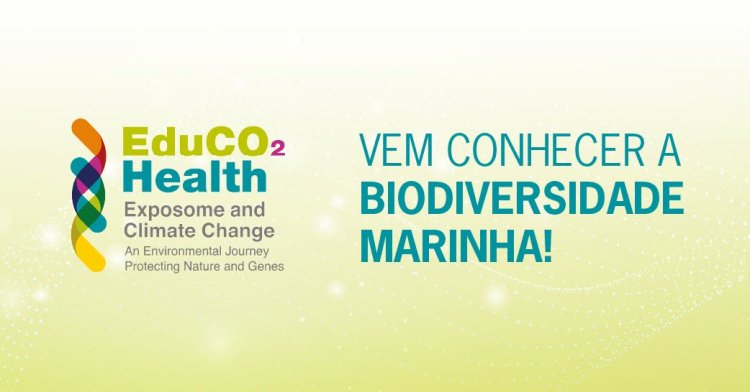 Vem conhecer a biodiversidade marinha!