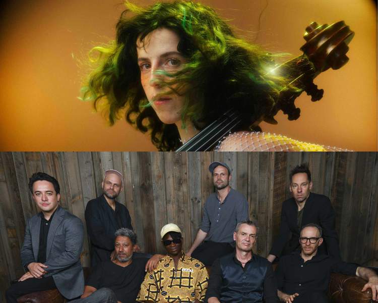 Knobil + Jazzanova Live feat. Wayne Snow