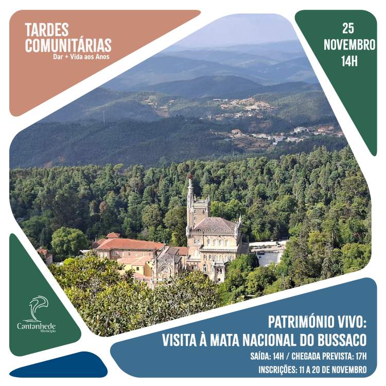 Tardes Comunitárias - Património Vivo: Visita à Mata Nacional do Bussaco