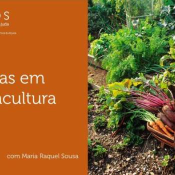 Jardins en Permaculture