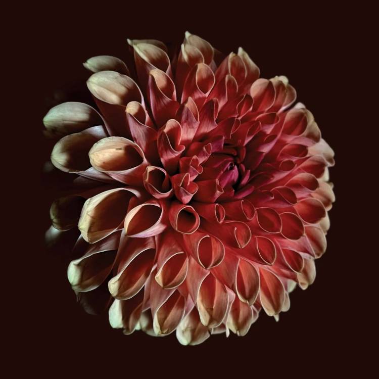 Unfolding – apresentação do álbum | JESSICA MOSS