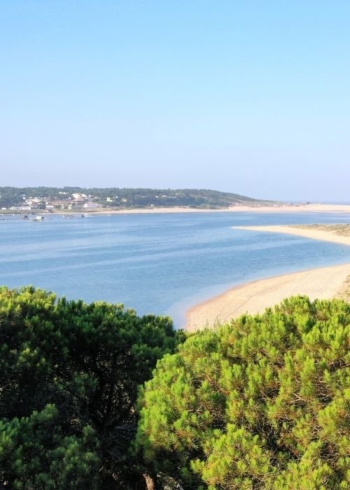 Dia Internacional da Limpeza Costeira