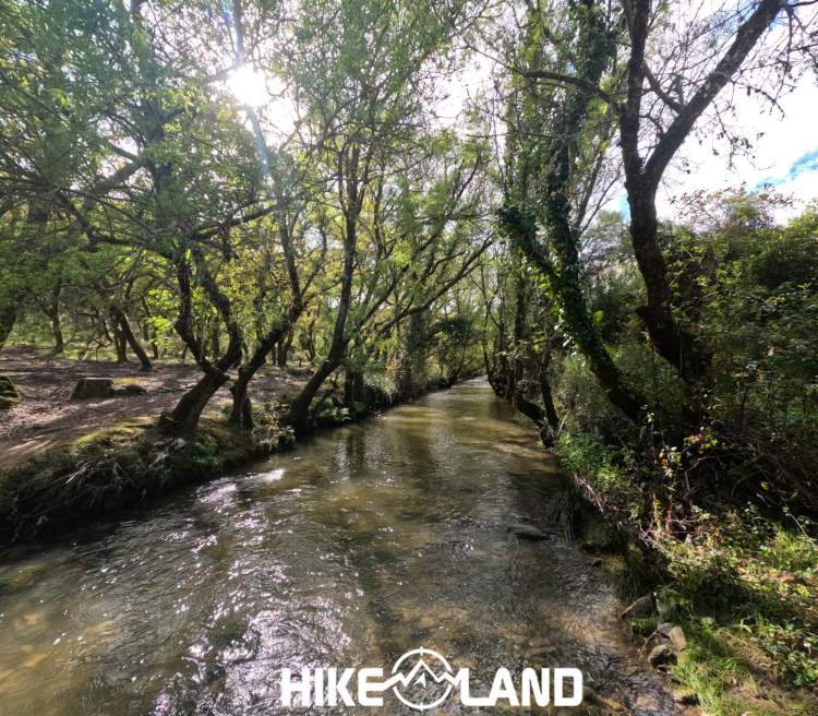 Caminhada ao Amanhecer: Margens e Bosques da Ribeira de Cabrela | Sintra