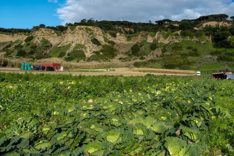 Agroparque – Celebração do Dia Mundial da Alimentação