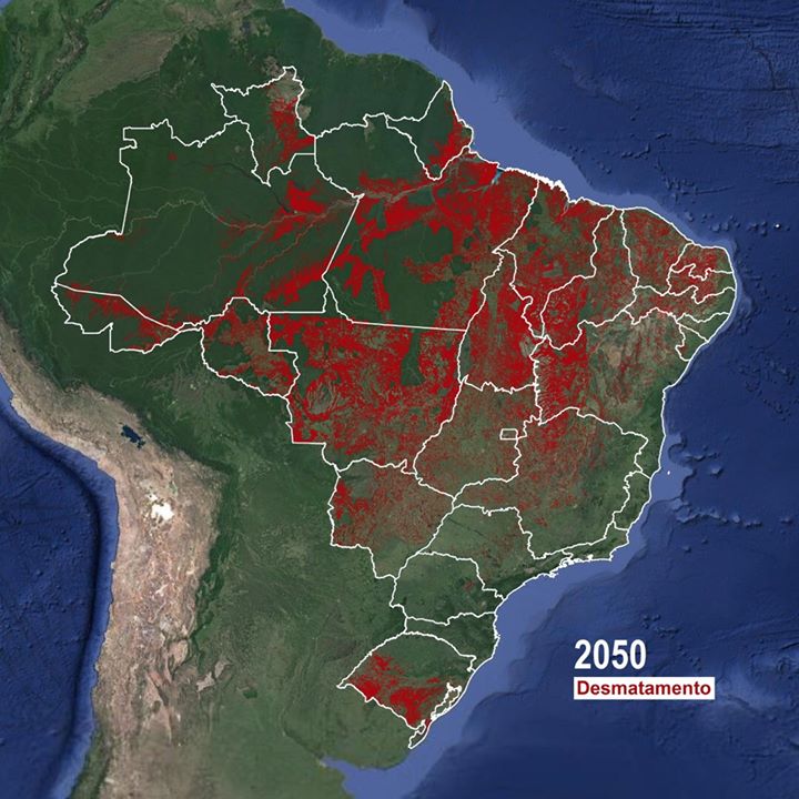Desmatamento na Amazónia e Acordo Mercosul - União Européia