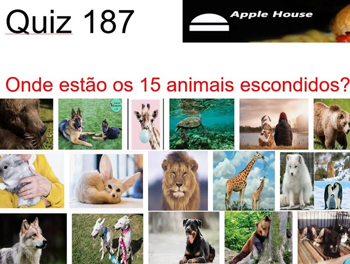QUIZ APPLE 187 - Onde estão os animais?