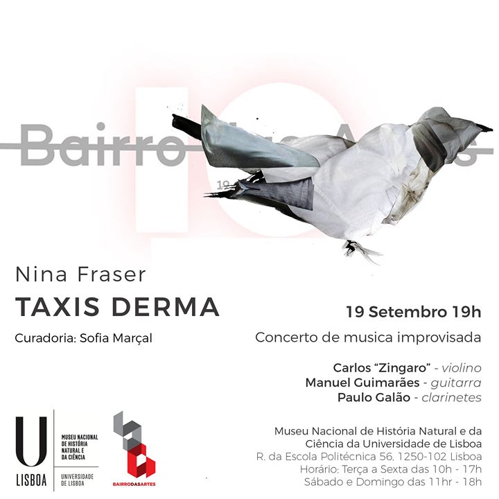 Bairro das Artes | TAXIS DERMA - Concerto de musica improvisada