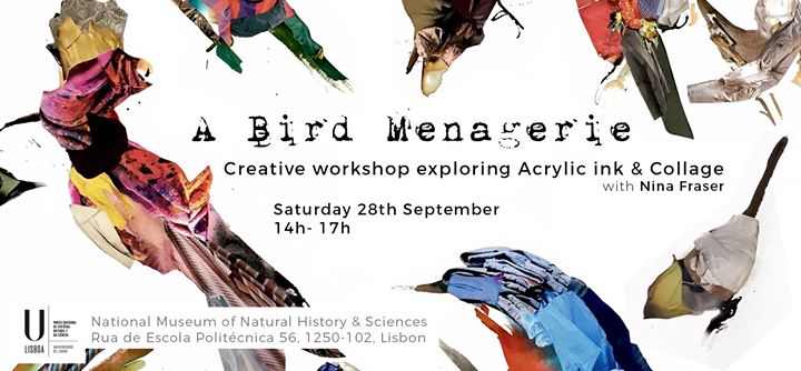 A Bird Menagerie - Ink & Collage Workshop