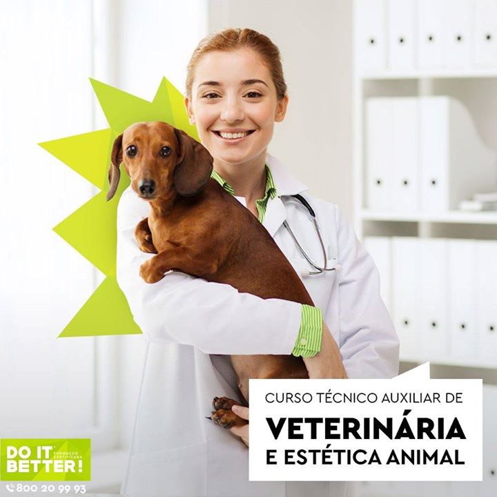 Curso Assistente Auxiliar de Veterinária e Estética Animal