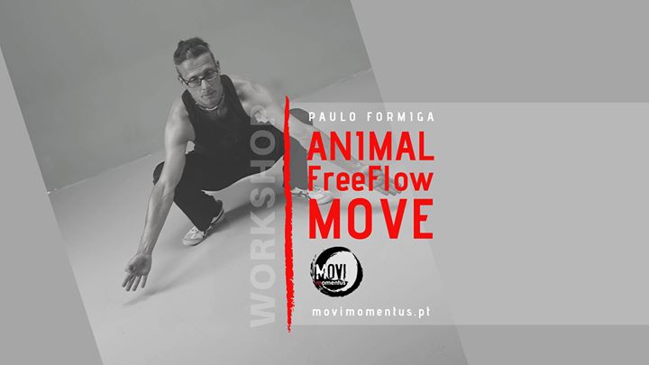 Workshop AnimalFreeFlow Move