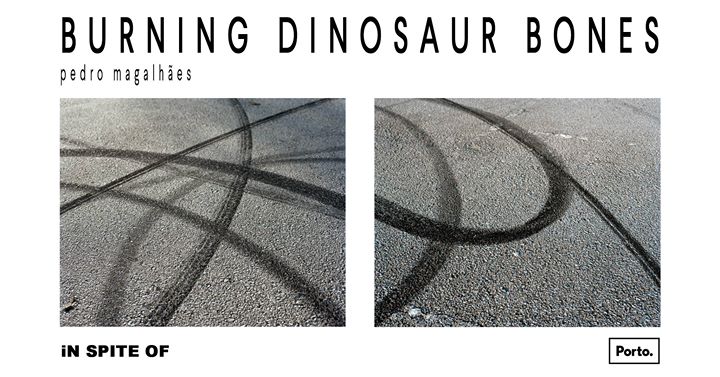 Inauguração/Opening | 'Burning Dinosaur Bones' - Pedro Magalhães