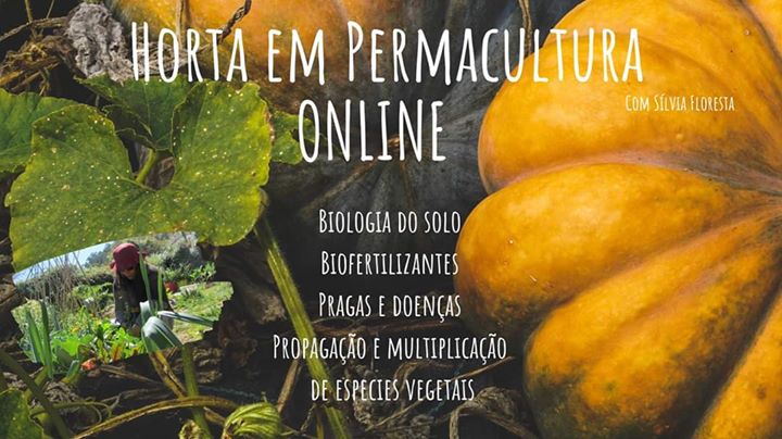 Horta em Permacultura Online