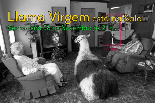 Llama Virgem - Concerto