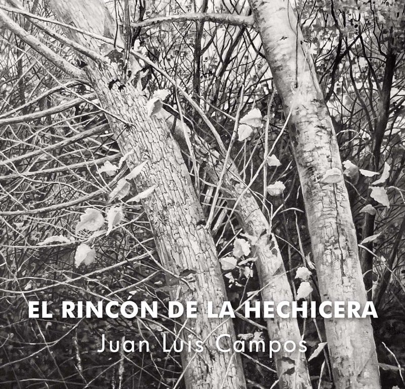Exposición ‘El rincón de la hechicera’ de Juan Luis Campos