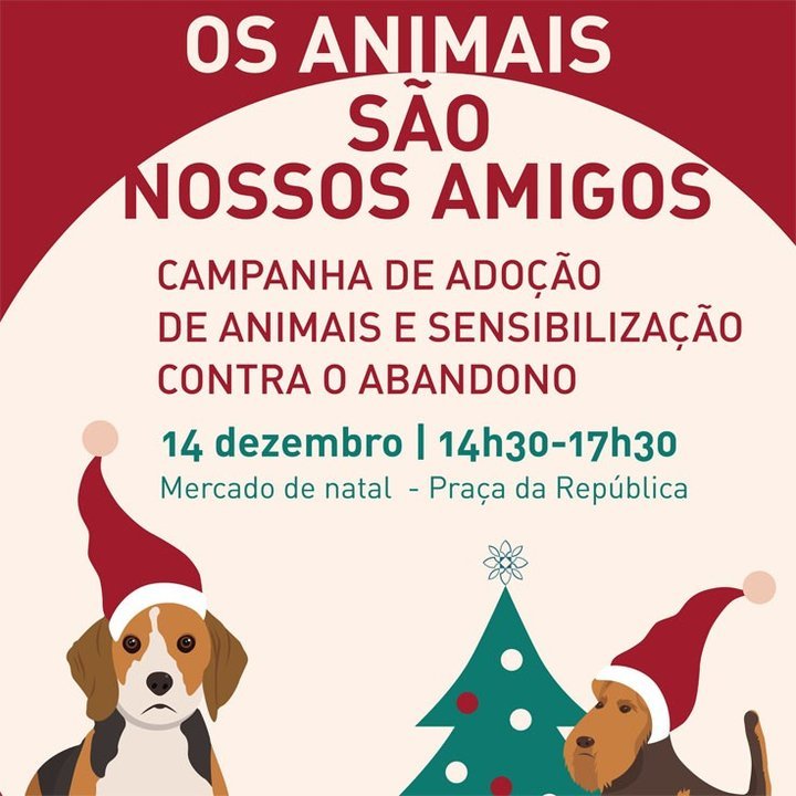 Campanha de adoção de animais