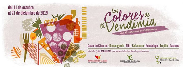 Enoqueso en Bodegas Ruiz Torres