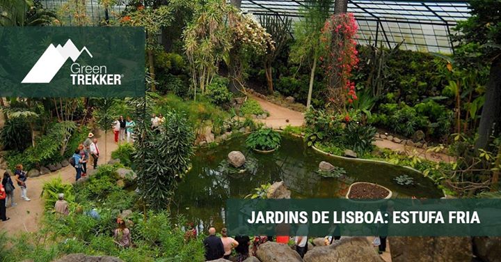 Jardins de Lisboa: Estufa Fria