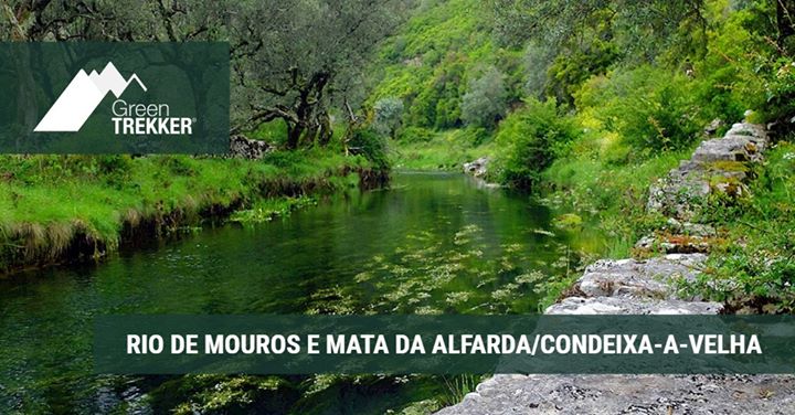 Rio de Mouros e Mata da Alfarda/Condeixa-a-Velha