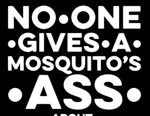 Nástio Mosquito