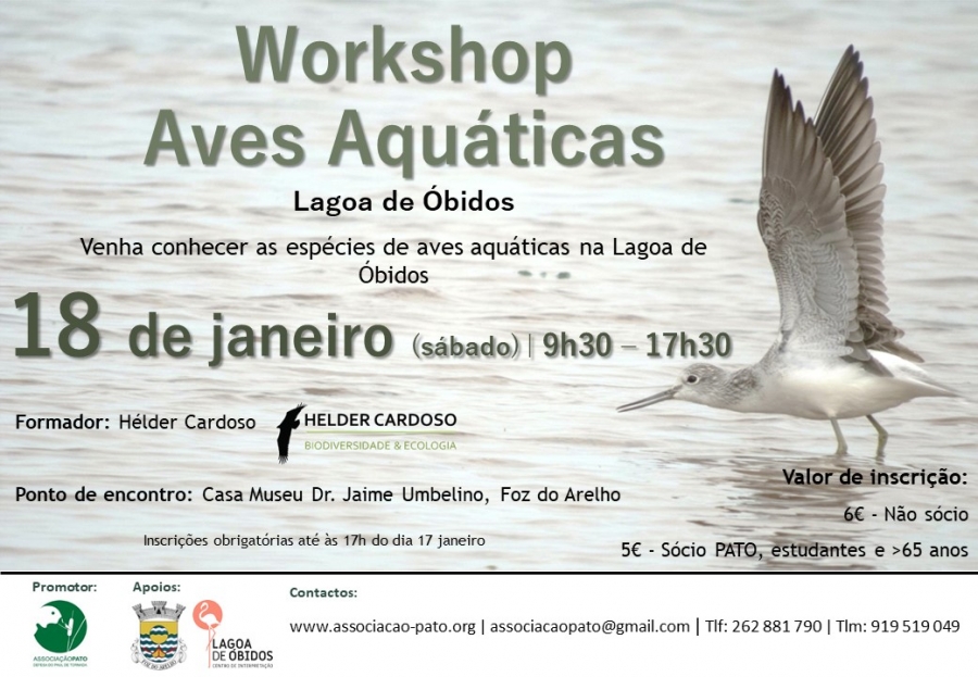 Workshop Aves Aquáticas