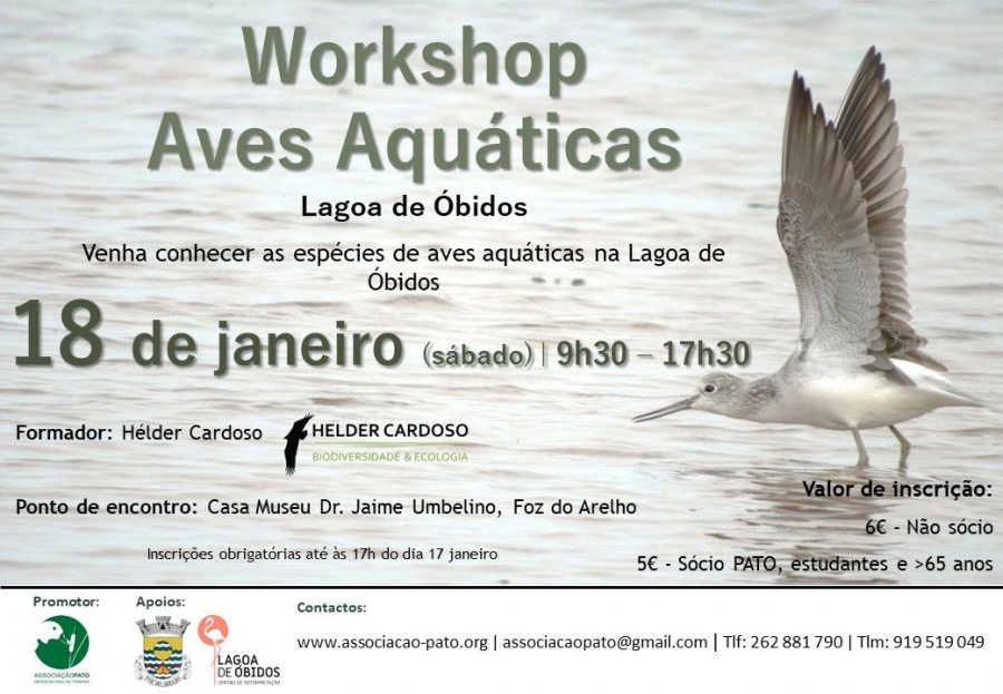 Workshop Aves Aquáticas | Lagoa de Óbidos