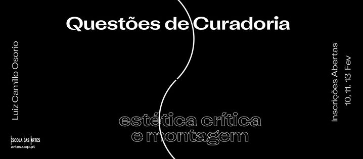 Seminário com Luiz Camillo Osorio | Questões de Curadoria