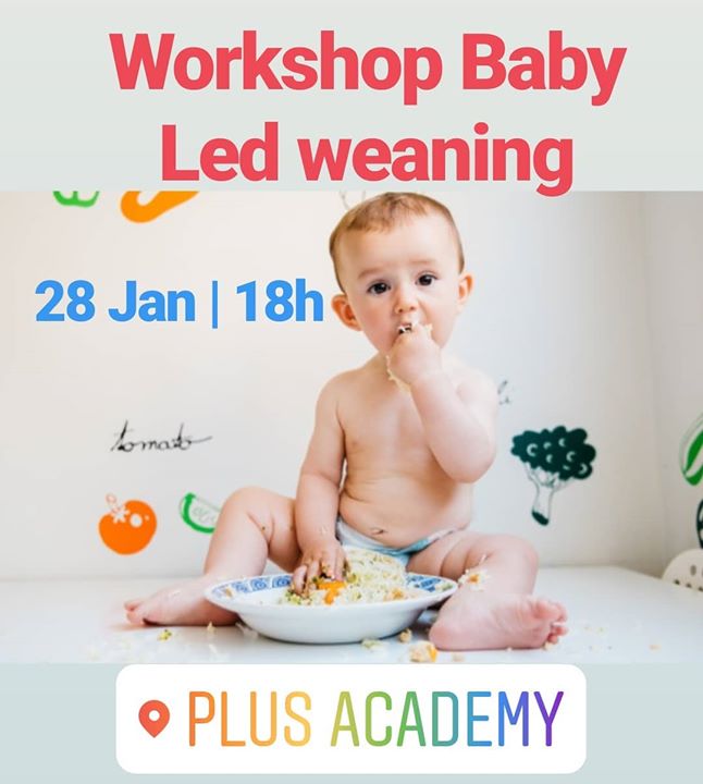 Workshop Baby Led Weaning