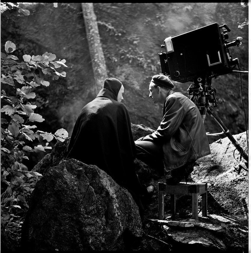 Bergman – Um Ano, Uma Vida