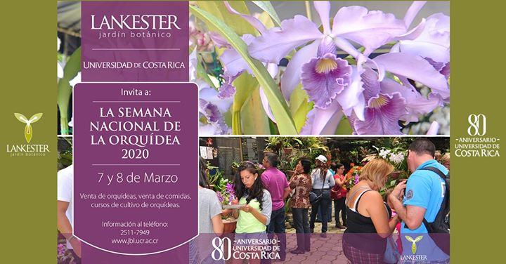Semana Nacional de la Orquídea - 7 y 8 de Marzo