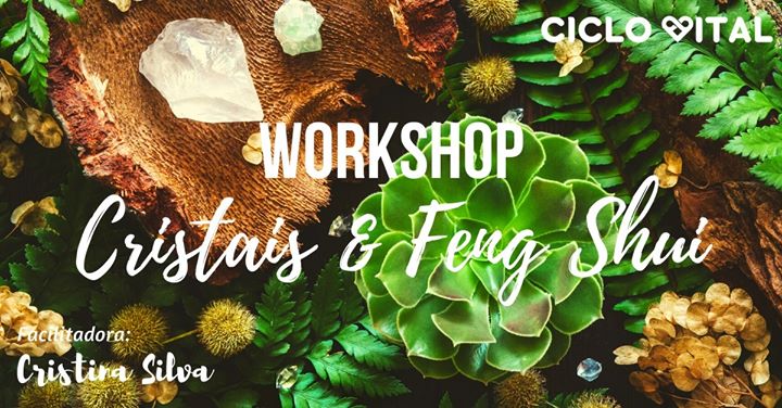 Workshop de Cristais aliados ao Feng Shui